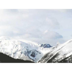 Sleek Wooden Wallet fr-FR